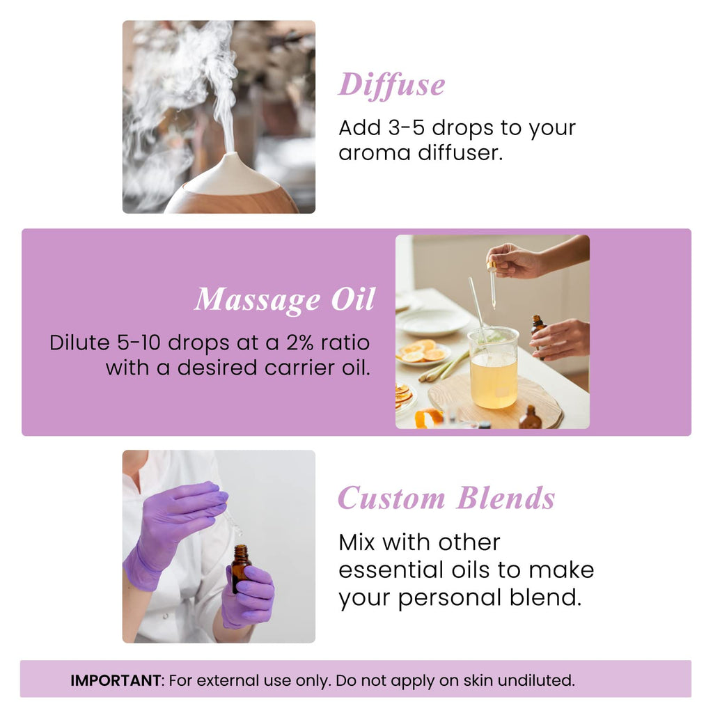 Eucalyptus Tea Tree and Lavender Essential Oil Set 4 Fl. Oz P487