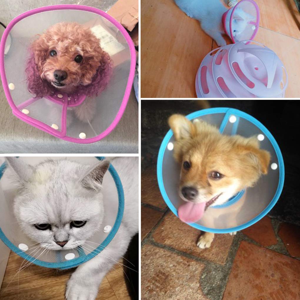 Adjustable Clear Padded Dog Cone X7619