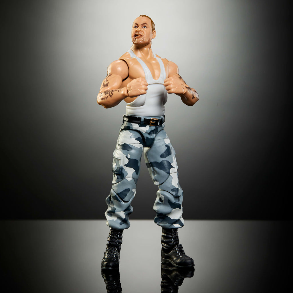WWE Elite Collection Action Figure & Accessories O968096