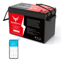 12V 330Ah LiFePO4 Battery with 200A BMS P655