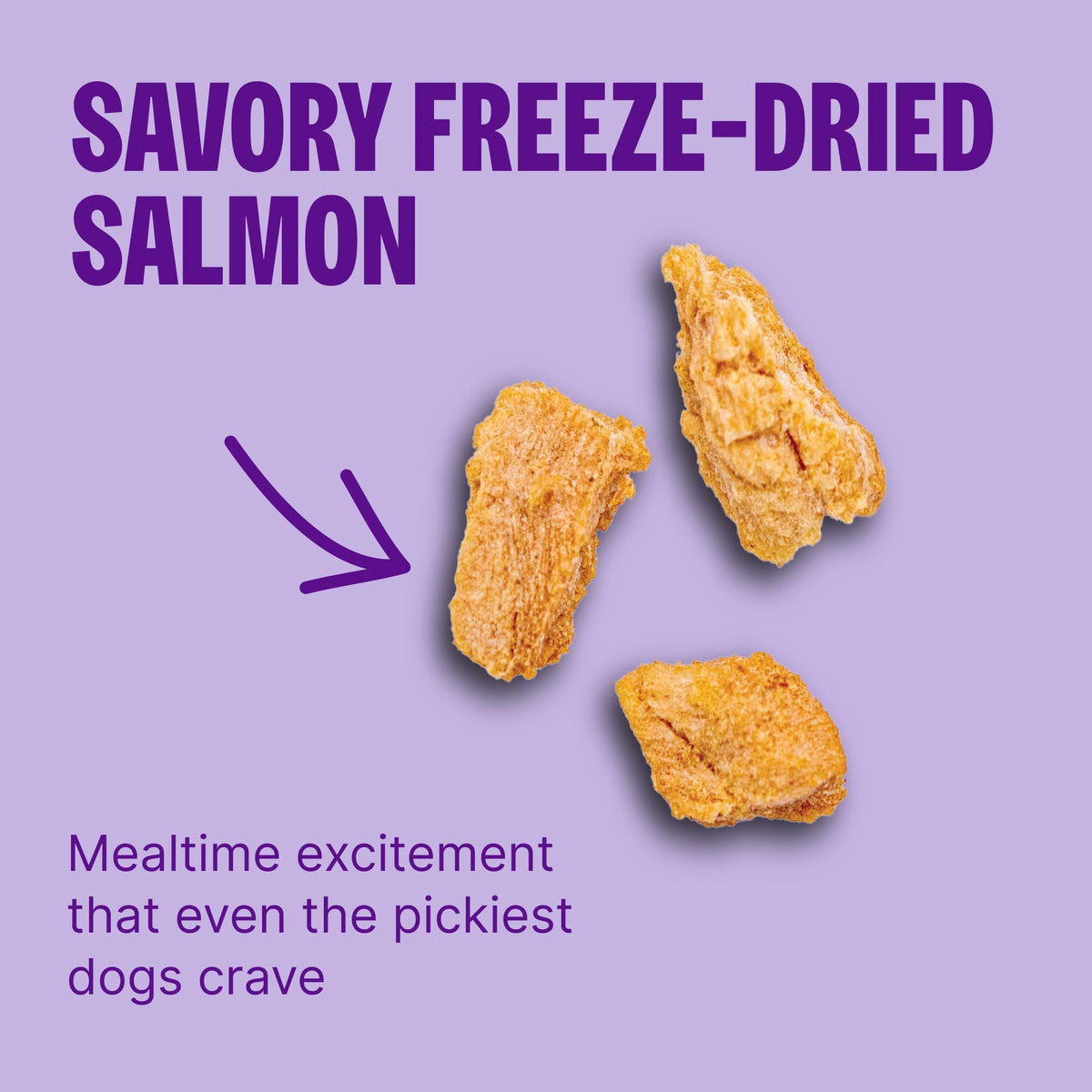 Sensitive Skin and Stomach Dry Dog Food with Freeze Dried Pieces, 4 lb Bag B7319