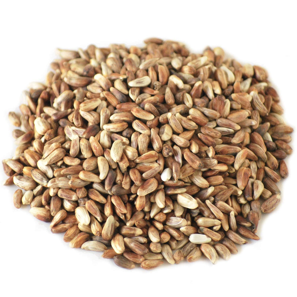 Safflower Seed Wild Bird Food Y90044