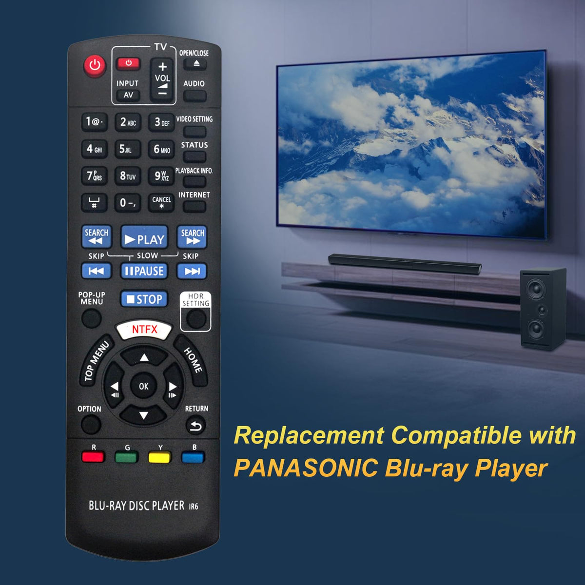 Replacement Remote Control R313580