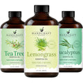 Eucalyptus Tea Tree and Lavender Essential Oil Set 4 Fl. Oz P487
