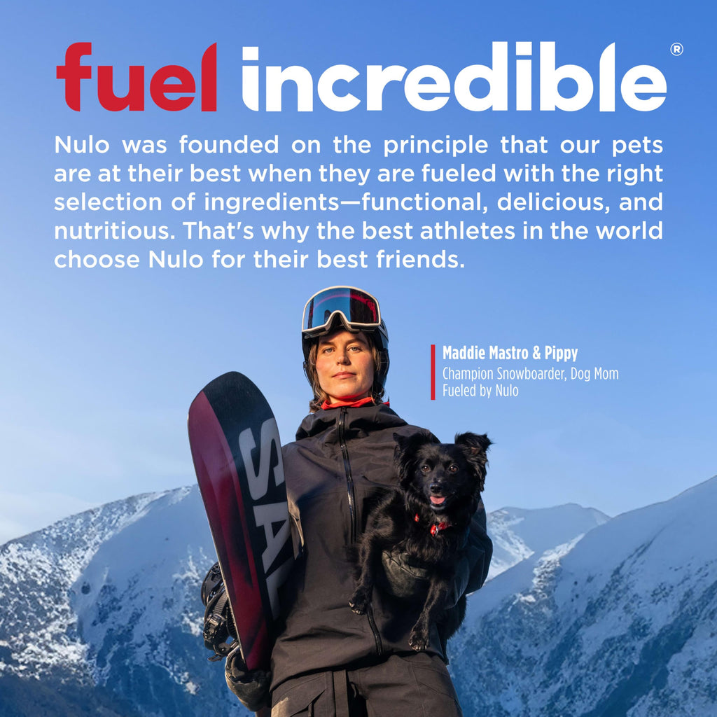 High Protein Grain Free Dry Dog Food W767