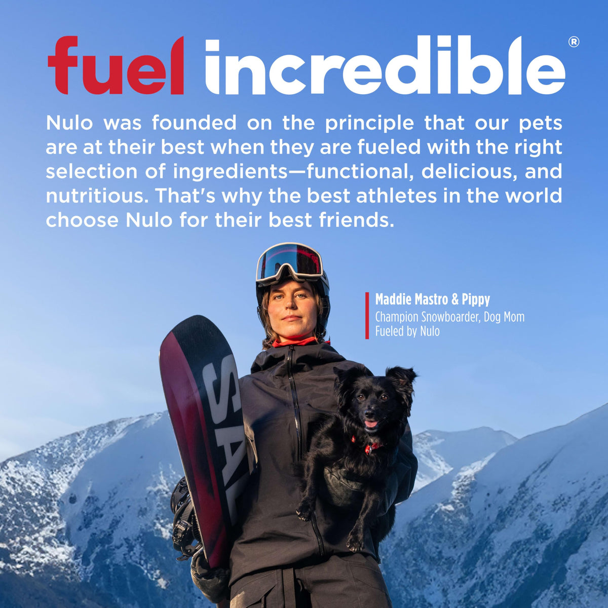 High Protein Grain Free Dry Dog Food W767