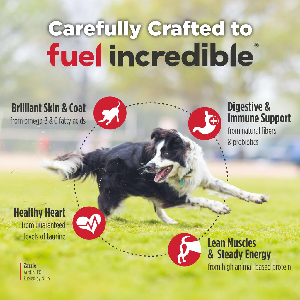High Protein Grain Free Dry Dog Food W767