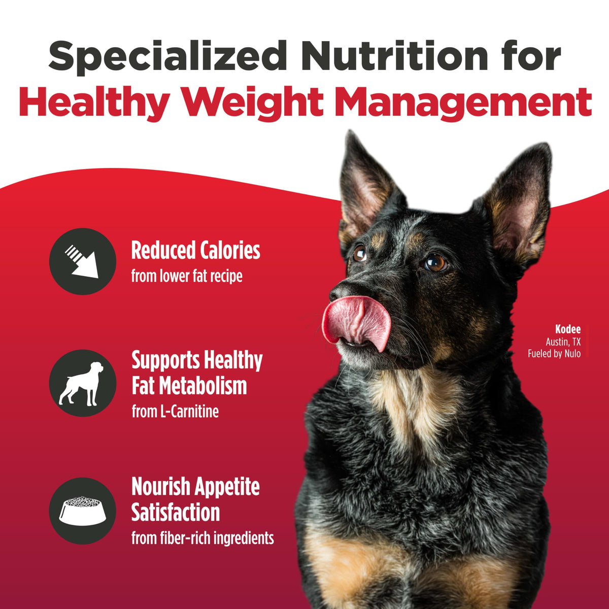 High Protein Grain Free Dry Dog Food W767