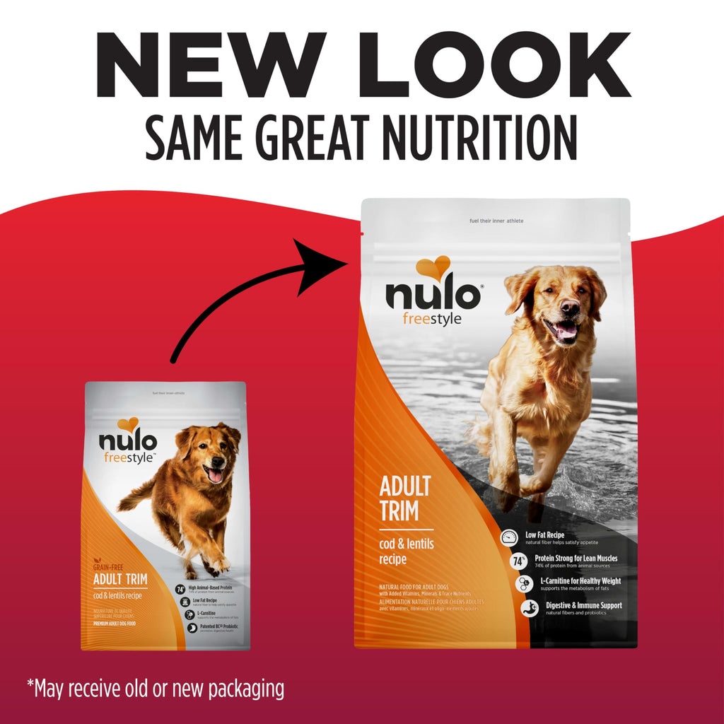 High Protein Grain Free Dry Dog Food W767