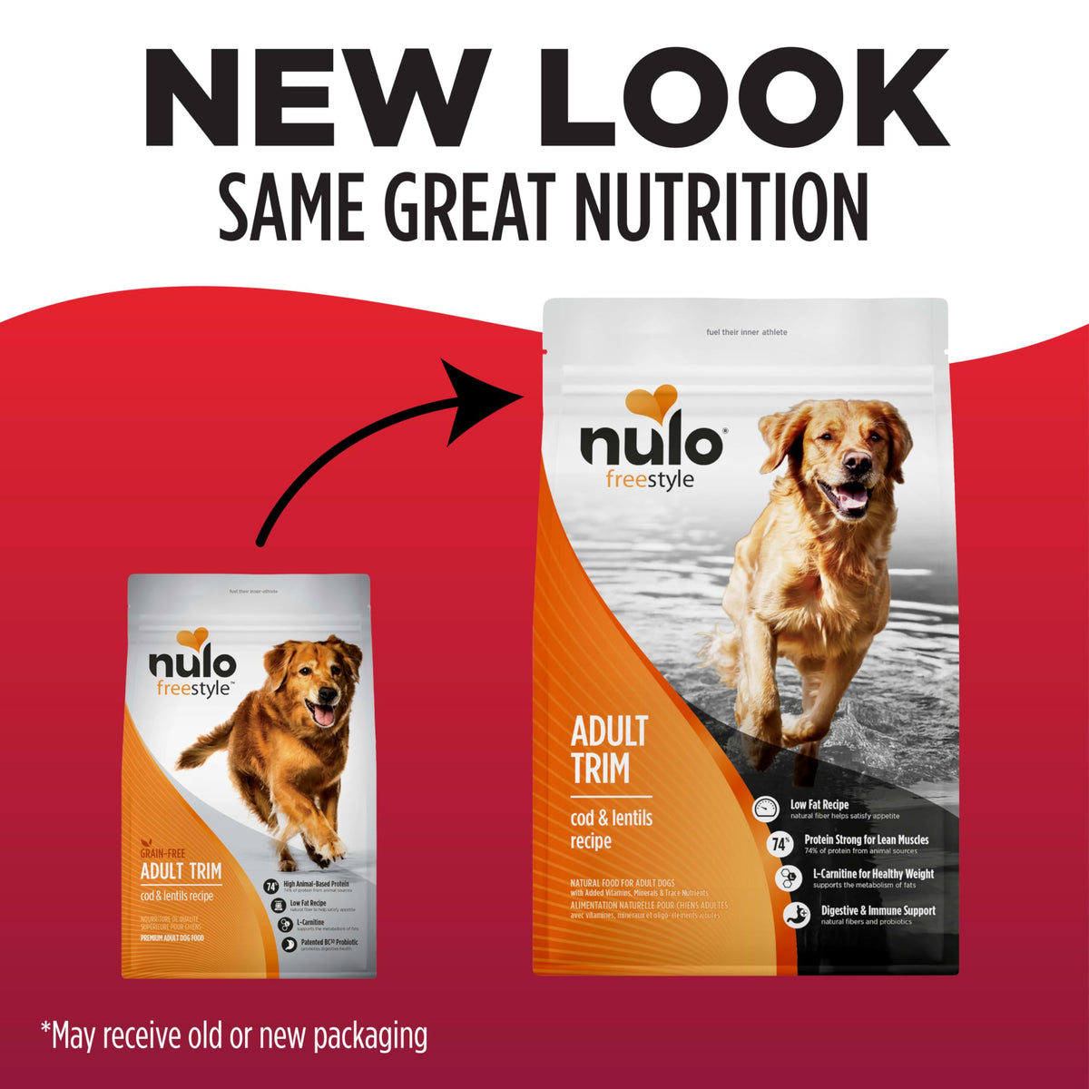 High Protein Grain Free Dry Dog Food W767