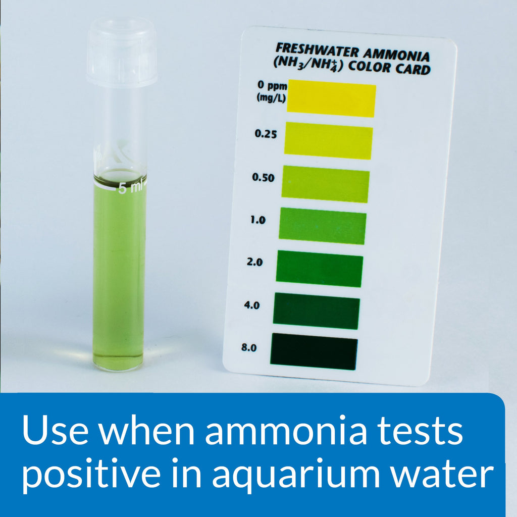 Aquarium Ammonia Detoxifier 16-Ounce Bottle Q31512