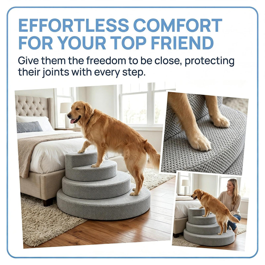 Modular Dog Stairs M605700