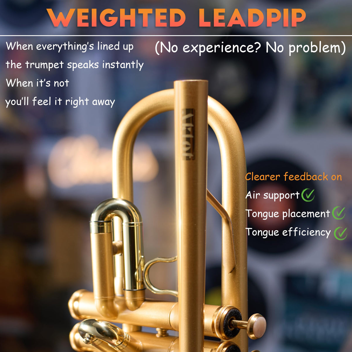 Satin Gold Bb Trumpet with Hard Case N473
