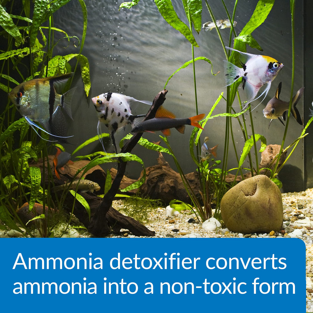 Aquarium Ammonia Detoxifier 16-Ounce Bottle Q31512