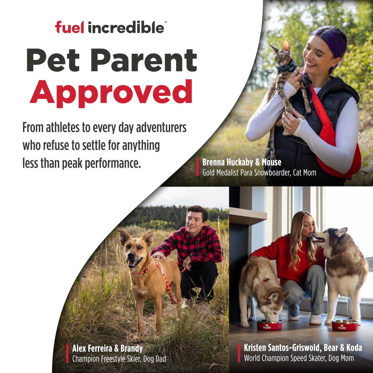 High Protein Grain Free Dry Dog Food W767