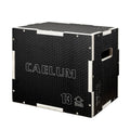 3-in-1 Non-Slip Wood Plyo Box U362407