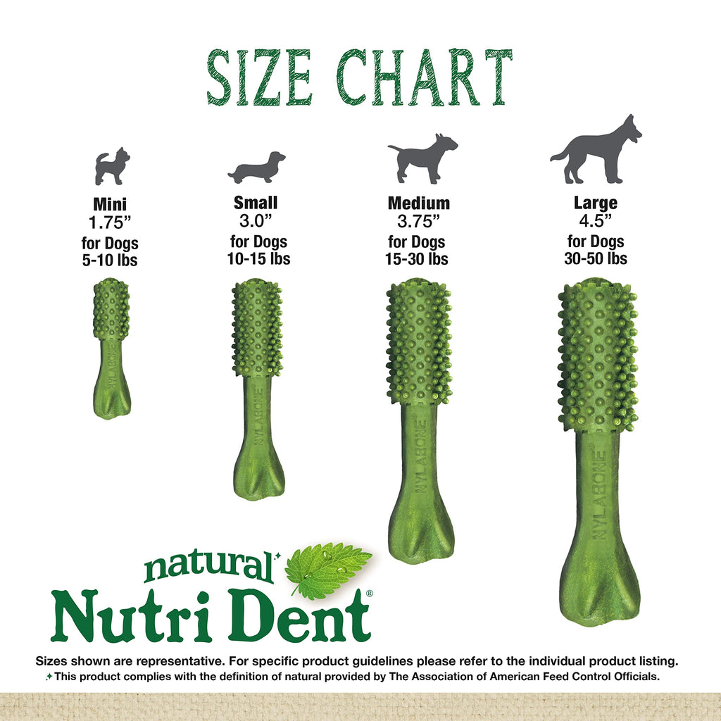 Natural Dog Dental Chews, Small 28 Count N1002