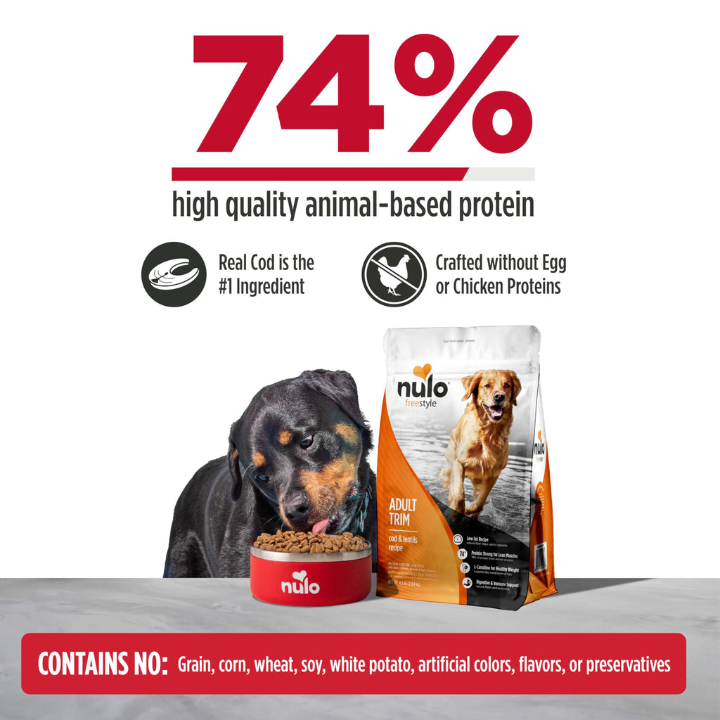 High Protein Grain Free Dry Dog Food W767