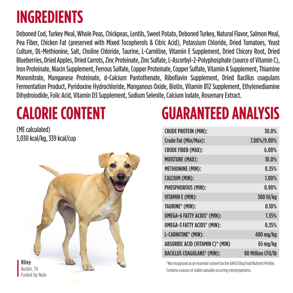 High Protein Grain Free Dry Dog Food W767