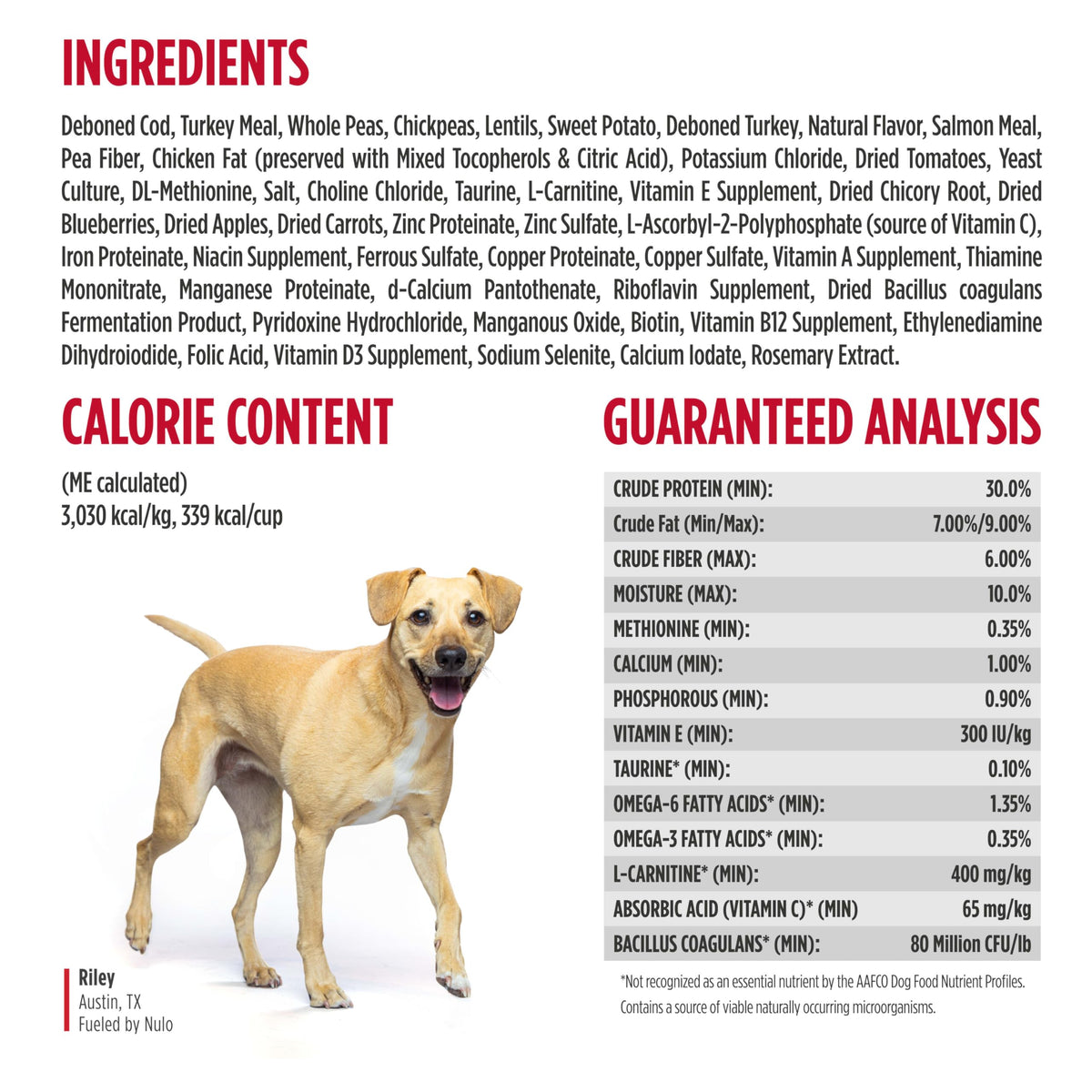 High Protein Grain Free Dry Dog Food W767