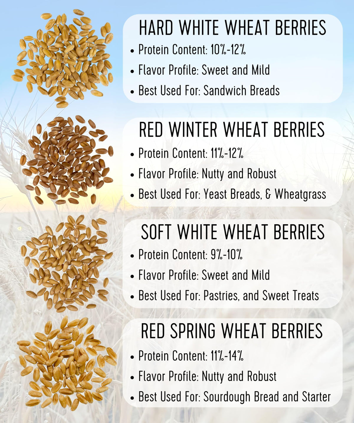 Hard Red Winter Wheat Berries 25 LBS Bag Sproutable Non-GMO Kosher R68561