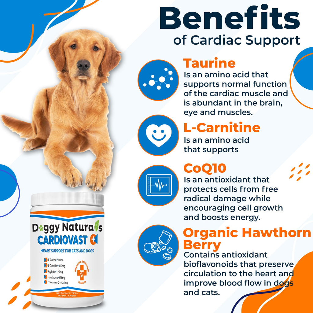 Cardio Support Supplement for Dogs and Cats, 60 Soft Chew J17126