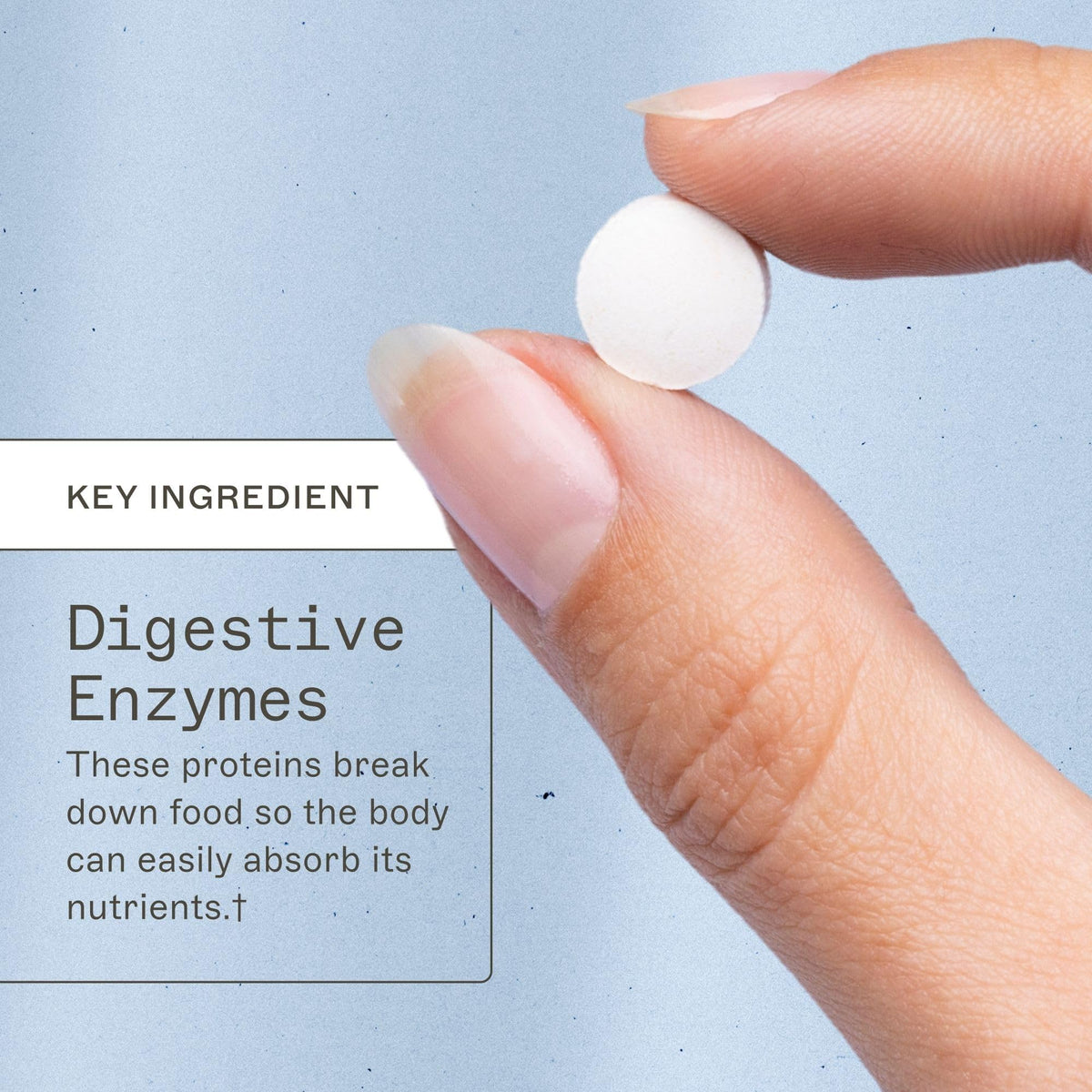 Chewable Digestive Enzymes 180 Tablets I606744