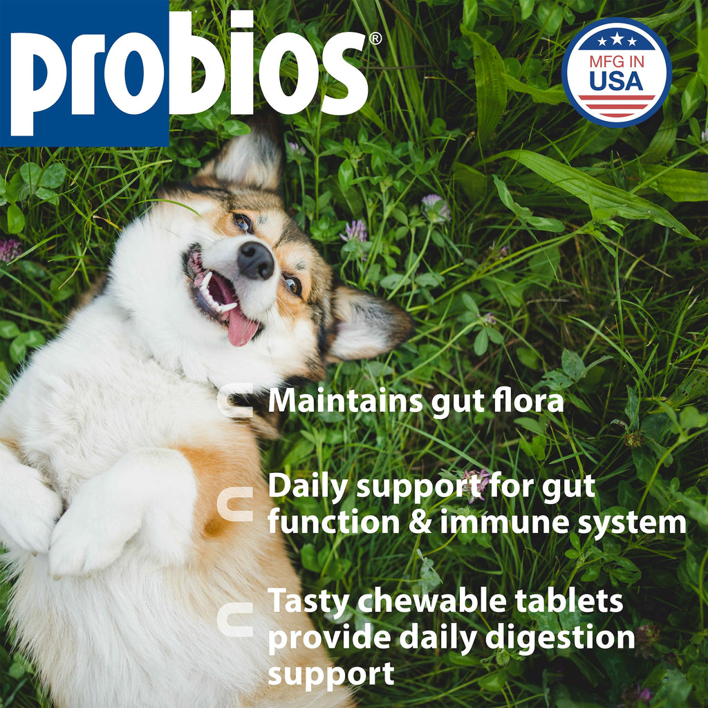 Digestive Dog Tabs 45 chewable tablets N5102
