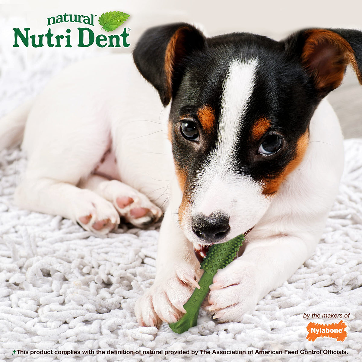 Natural Dog Dental Chews, Small 28 Count N1002